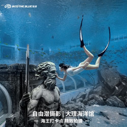 酷潜自由潜aida/padi 大理海洋馆水下摄影  大理旅拍 个人写真