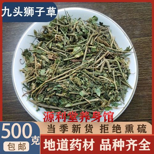 中药材九头狮子草中药材 接骨草 铁焊椒 绿豆青 万年青500克包邮