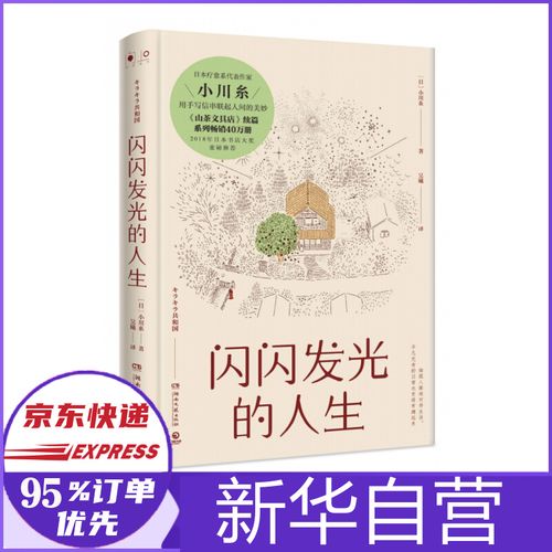 闪闪发光的人生