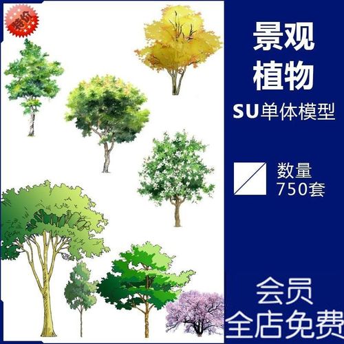 j389植物景观莲花棕榈树竹子手绘乔木灌木绿树木盆景su单体模型