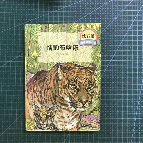 正版保证 有发票}沈石溪激情动物小说 情豹布哈依