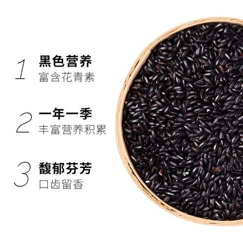 新黑米 黑香米黑大米东北农家自产2020年秋收新五谷杂粮5斤装包邮