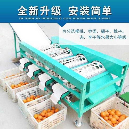 柑橘选果机-新款水果分选机分级橙子桔子贡柑类机筛分机青色三桶