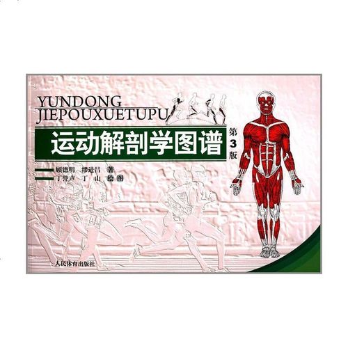 [二手8成新]运动解剖学图谱(第3版) 9787500943815_357