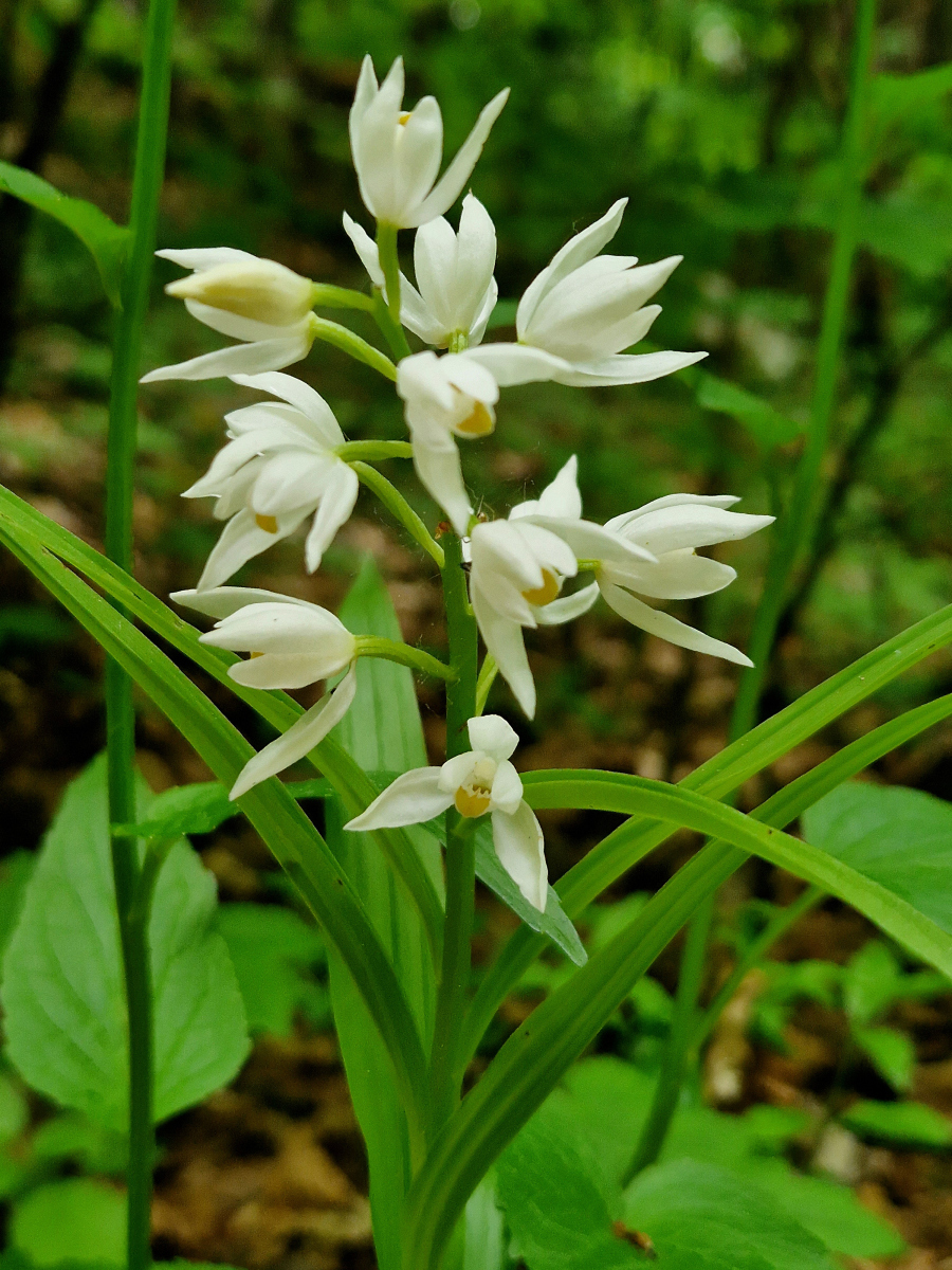 老婆和孩子刚出门