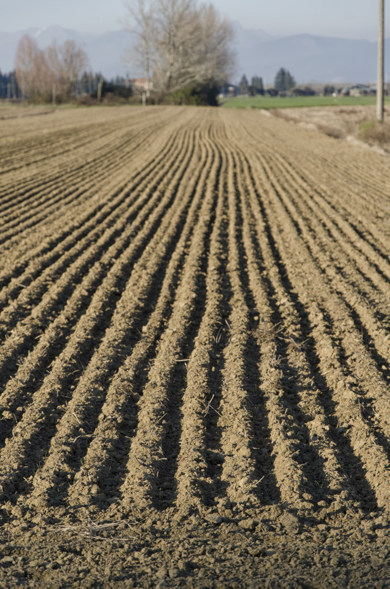 村支书回应种地先交钱:县里让收的!