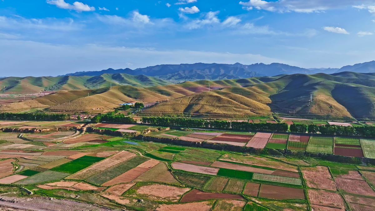 曾经,在西北的某片干旱地区,提起当地的生态环境"黄沙漫天,寸草难生"