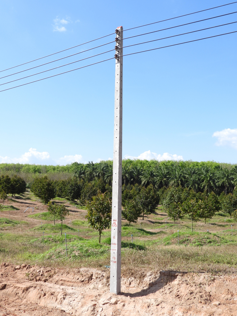 电杆在房子什么位置好:超越规范,探索最佳布局