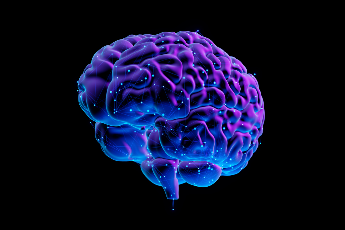 科学家总爱鼓吹大脑有"节能模式"