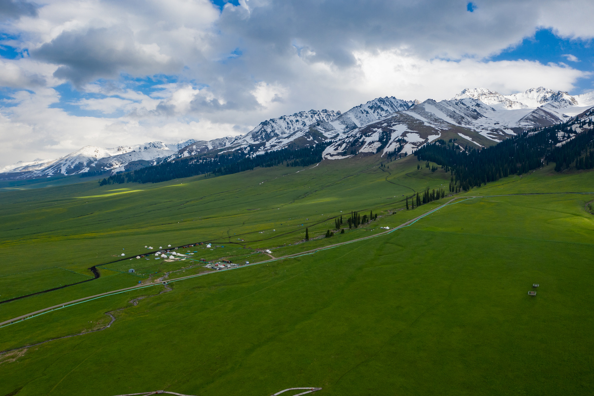 …等我回过神来,发现外赡崂湛朔蹇诳 草原实拍图