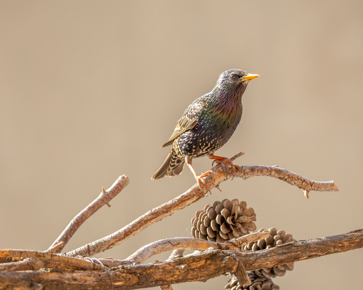 实际上,这是很不好的