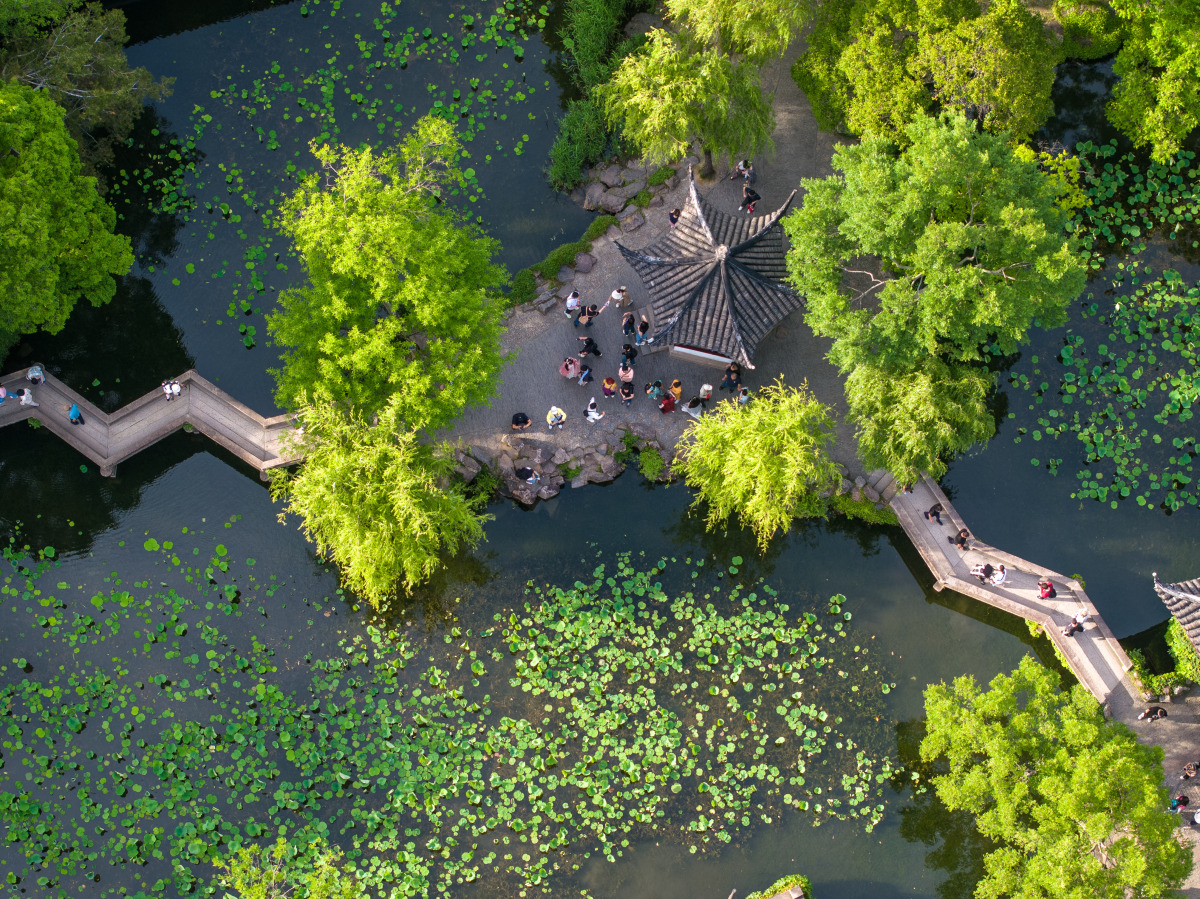 在我心中,拙政园不仅是一座园林,更是一处充满诗意的梦境