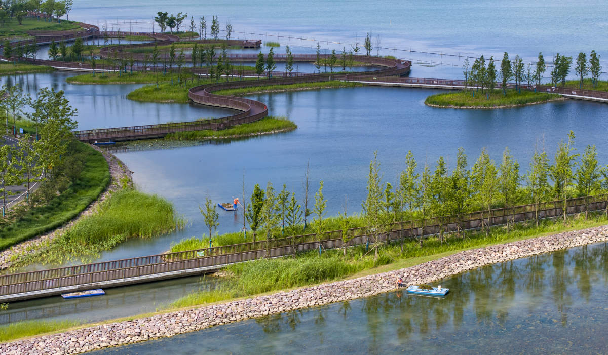 生态浮岛与修复后的滨岸带横沥三角湖湿地公园石#古今之旅回盼千年