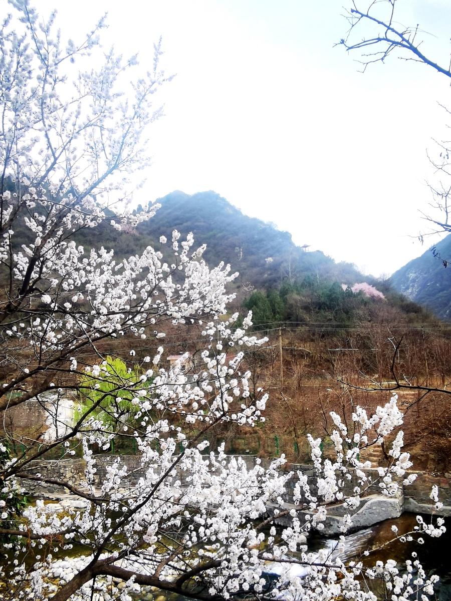 事实上,在许多文化和传统中,婚外恋都是被禁止和道德谴责的行为