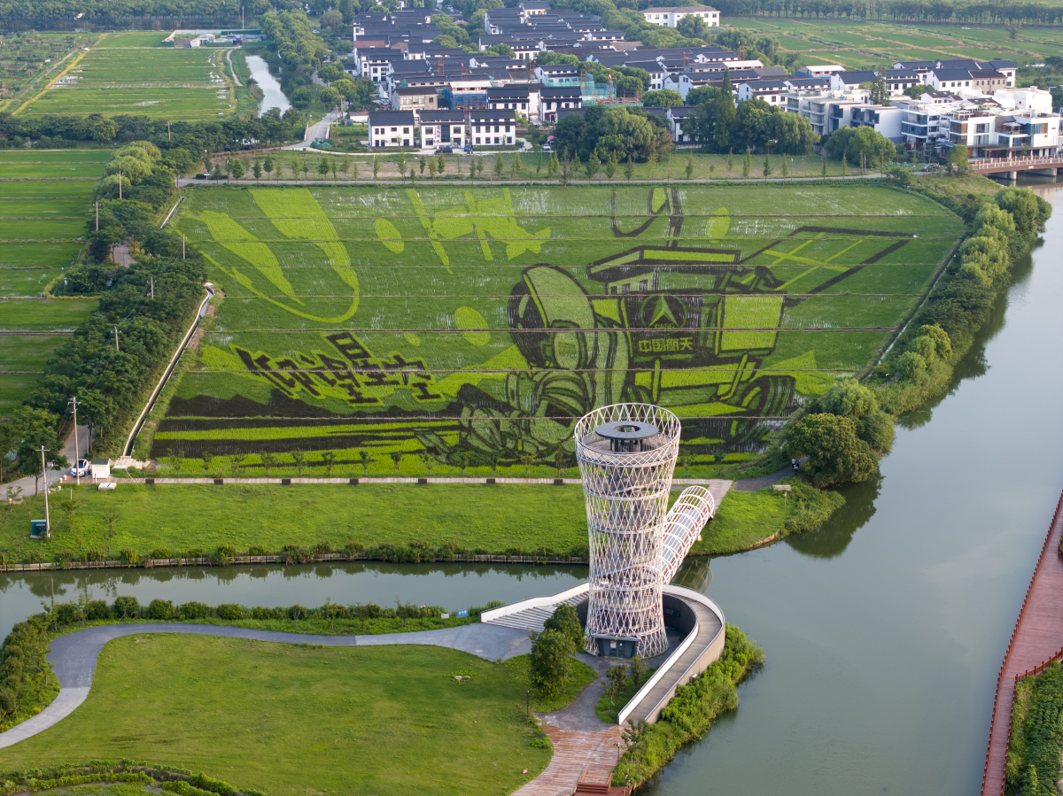 早睡早起,运动锻炼,读书练字,每一个好习惯,或许在