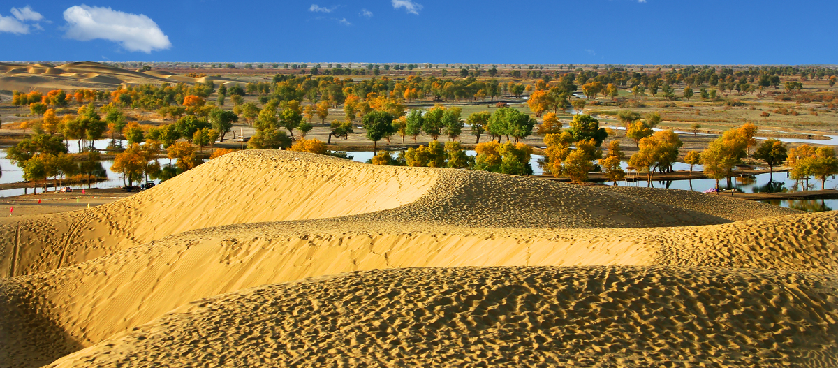 巴音郭楞蒙古自治州,简称"巴州,隶属于新疆维吾尔自治区,位于新疆