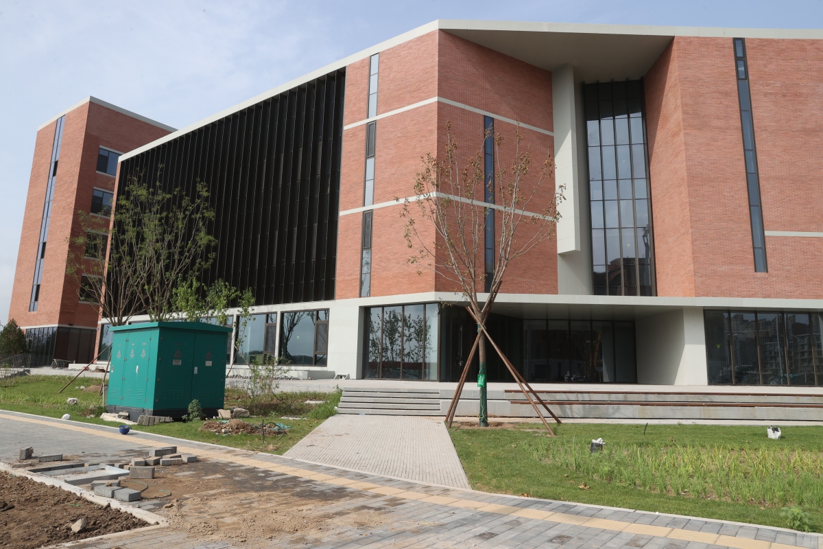 用通俗易懂,口语化的语言告诉我,皮格马利翁效应是什么?