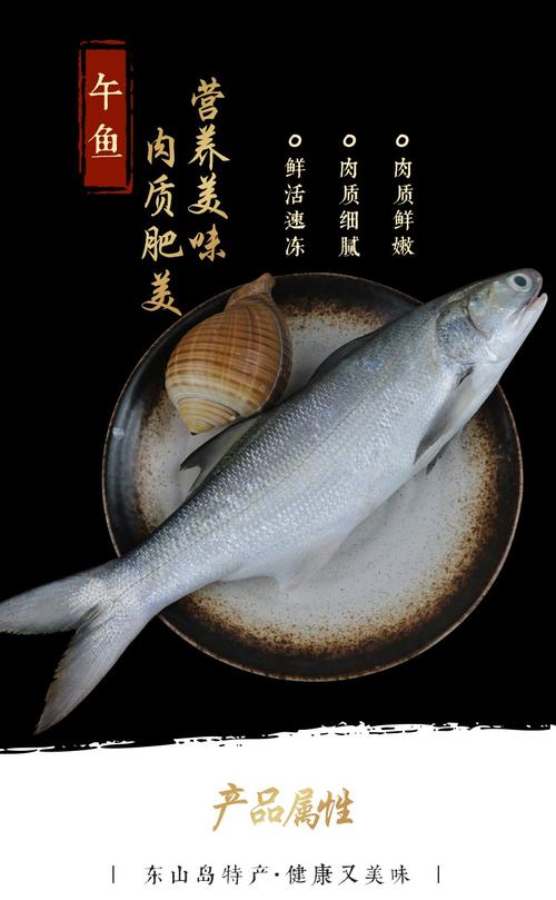 尚淘东山岛大号午鱼新鲜海捕马友鱼海鲜水产450500g条需更大25斤一条
