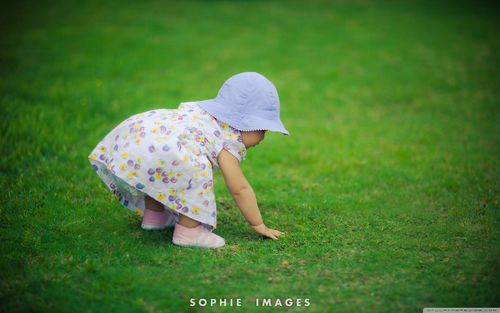 草地上的可爱宝宝高清护眼电脑壁纸