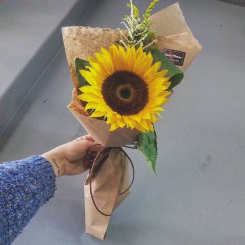 送你一束向日葵