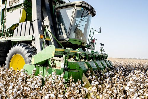 标题:机械收割棉花