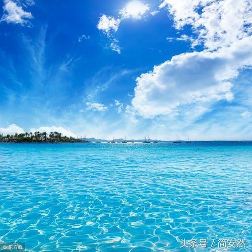 蓝色海洋浪花朵朵,《诗画黄陂》主编踏海撷花