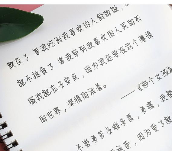 网红手写奶酪陷阱字体手写练字帖成年楷书大学生练字中学生字帖女生