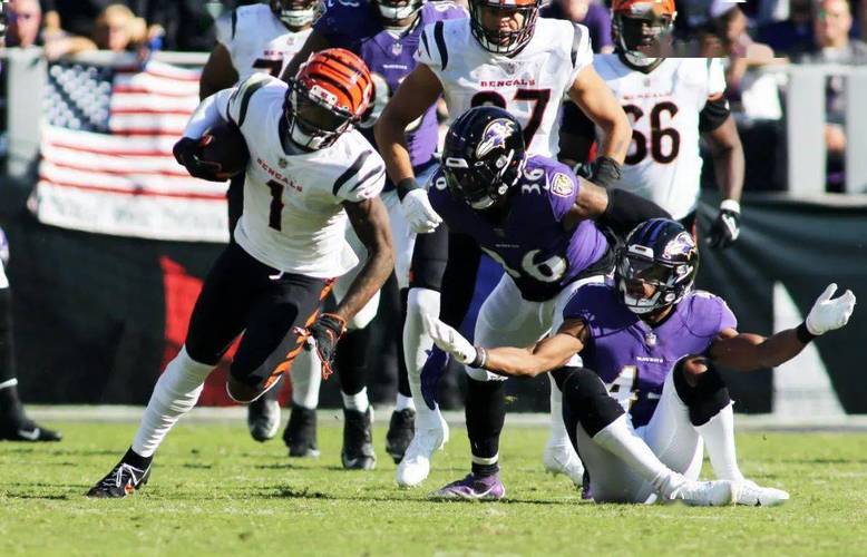 【新秀盘点】蔡斯,皮茨领跑nfl单周接球榜!_比赛