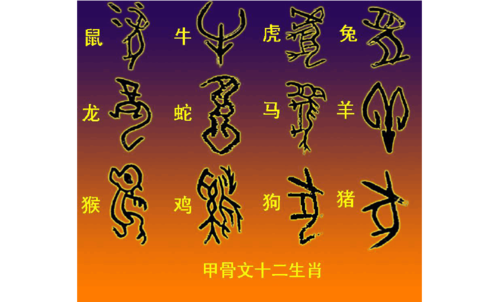 (新)甲骨文与现代汉字对照表