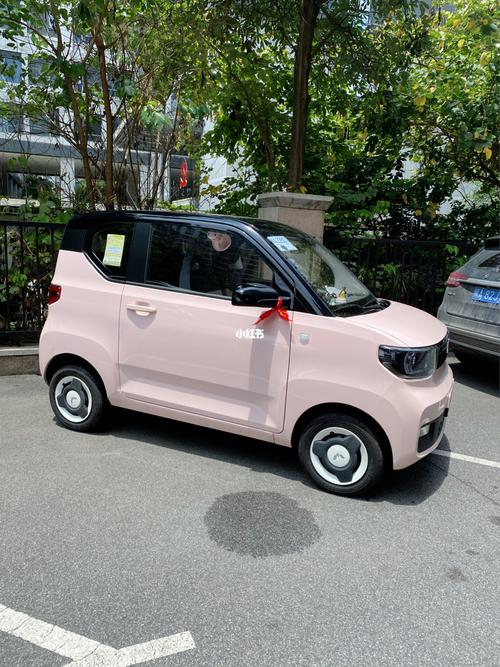 五菱宏光mini黑顶粉_五菱宏光mini_五菱怎么样_汽车