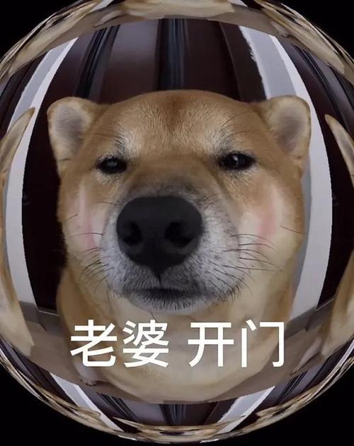 情侣表情包我只是一只想你的小狗