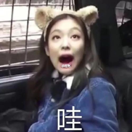 四闺女表情包(沙雕篇)(一)_表情包_沙雕_lisa_jennie