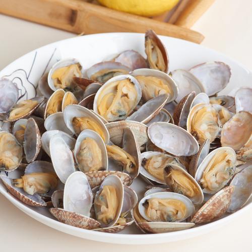 青岛新鲜海鲜蛤蜊鲜活包邮免运费水产花蛤嘎啦肉鲜活500g