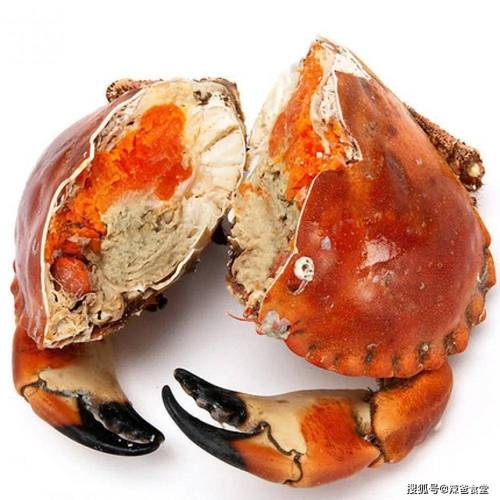 最后一种也能吃?_石夹_海蟹_梭子蟹