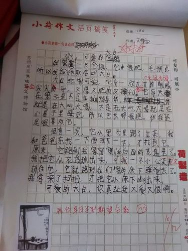 三年级小练笔(二)
