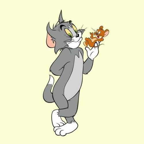 猫和老鼠