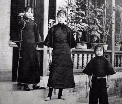 张宗昌,姨太太,军阀,山东,王寿彭,济南