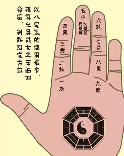 掐指一算十六种掌决图手把手教算命很实用