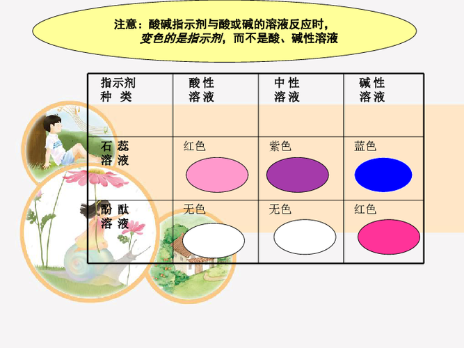 鲁教版第三节溶液的酸碱性共27张ppt