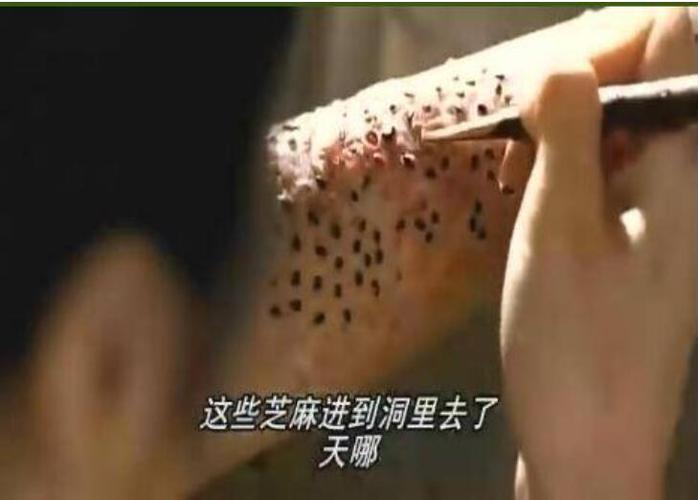 这个神秘的药方就是用芝麻泡澡,小女孩试过很多种方法都没能治好毛孔