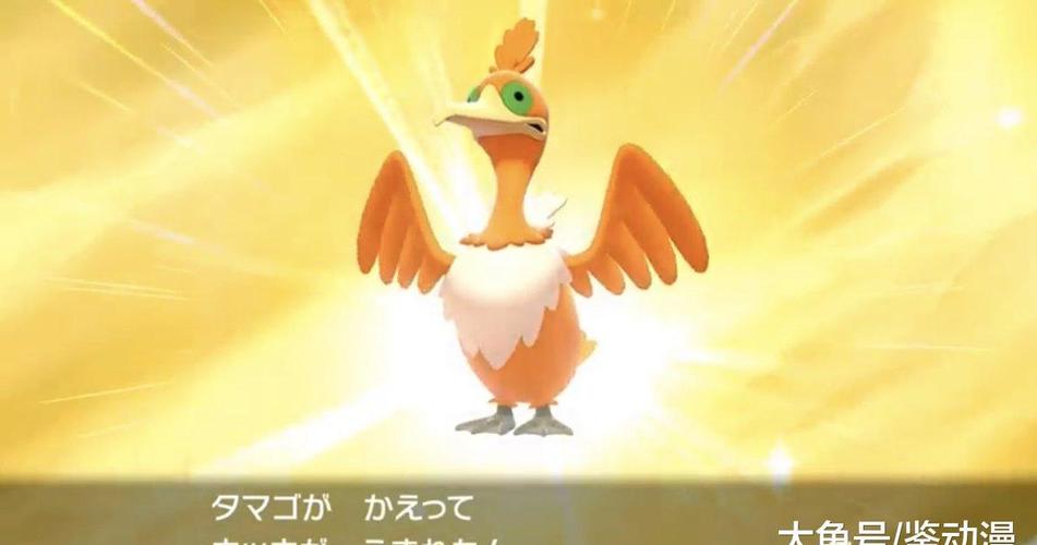 这只闪光神奇宝贝是山寨版凤王,皮卡丘被它搞得没尊严!