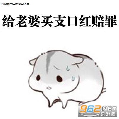 仓鼠老公道歉表情包