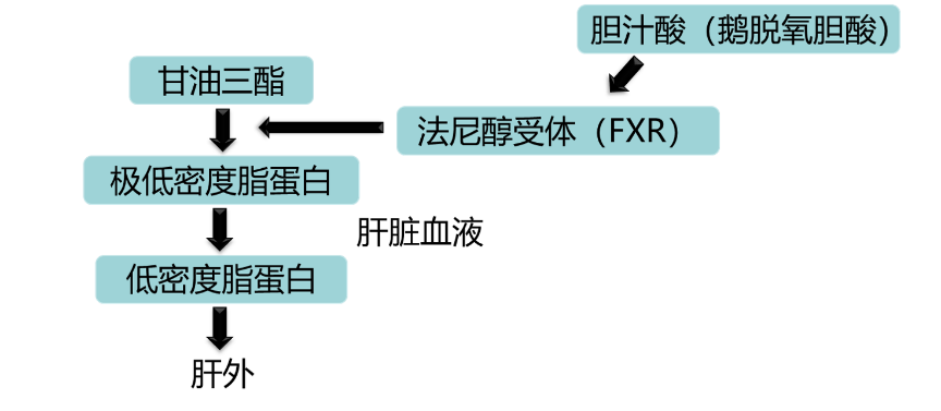 蓝猫案例:宠物医院针对猫咪脂肪肝及黄染的治疗方案,胆汁酸保肝