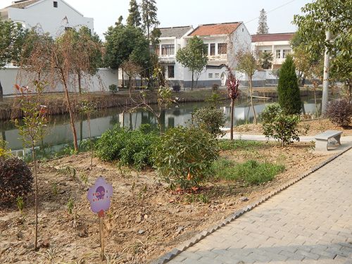 丹阳 吕城镇虎墅村