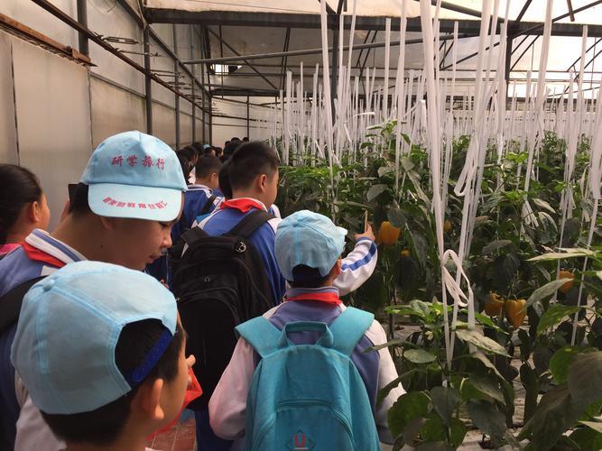 3月19坑梓中心小学永记生态园研学时光