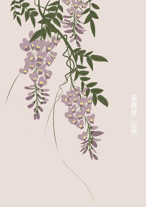 国风花花合集|插画|创作习作|花莱 - 原创作品 - 站酷 (zcool)