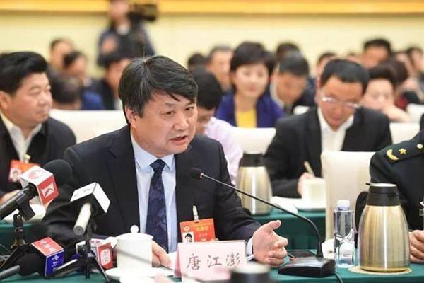 图说:全国政协委员唐江澎.