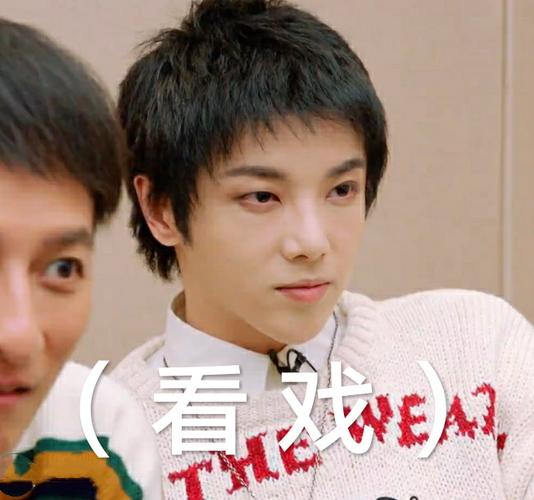 华晨宇表情包(多图预警,持续更新)