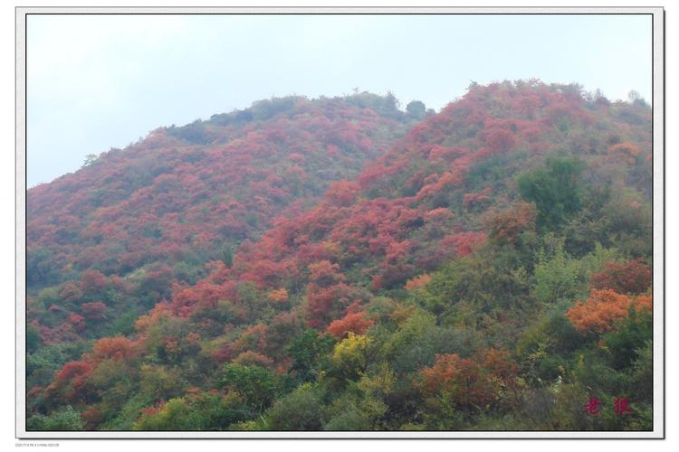 2012-10-27 15:38 至 2012-10-28 15:38 商定 活动地点:灵宝寺河 活动