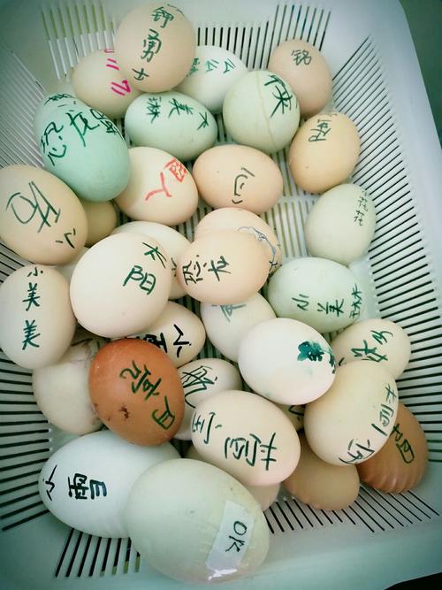 民间中有一说法,清明节吃个鸡蛋,一年都有好身体.